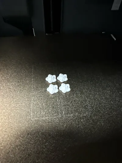 https://makerworld.bblmw.com/makerworld/model/1678906/1820060/ratings/e55a4160-835d-11f0-81db-ff531623e3d7.jpg