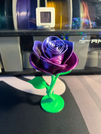 https://makerworld.bblmw.com/makerworld/model/1679377/1778939/ratings/595919e0-dc3e-11f0-8789-f77ebcbd9066.jpg