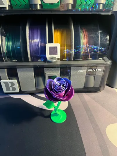 https://makerworld.bblmw.com/makerworld/model/1679377/1778939/ratings/5982e900-dc3e-11f0-8789-f77ebcbd9066.jpg
