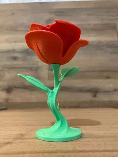 https://makerworld.bblmw.com/makerworld/model/1679377/1778939/ratings/b976e5d0-ee65-11f0-92d2-17cbc79c81e0.jpg