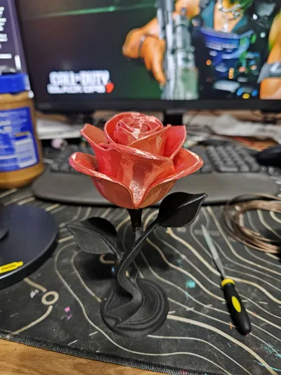 https://makerworld.bblmw.com/makerworld/model/1679377/1790862/ratings/6a2199b0-fb14-11f0-a148-590b18c08b5e.jpg