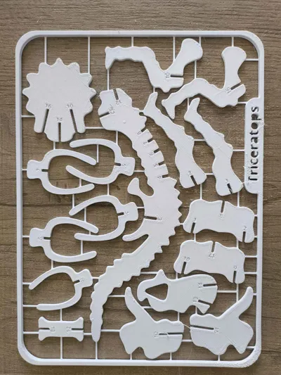 https://makerworld.bblmw.com/makerworld/model/1679458/1779036/ratings/83db2da0-9078-11f0-9226-a7254778a4ab.jpg