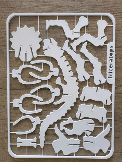 https://makerworld.bblmw.com/makerworld/model/1679458/1779036/ratings/83dd9ea0-9078-11f0-9226-a7254778a4ab.jpg