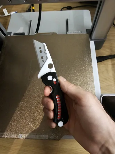 https://makerworld.bblmw.com/makerworld/model/1681134/1780968/ratings/bfdc0a80-8124-11f0-873f-25557d7a0ff9.jpg
