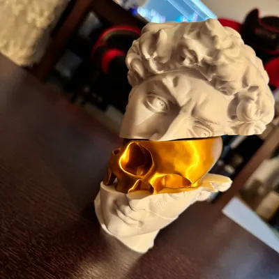 https://makerworld.bblmw.com/makerworld/model/1681964/1781937/ratings/a1d18ce0-7d3c-11f0-bccd-2fc4890b4a7d.jpg