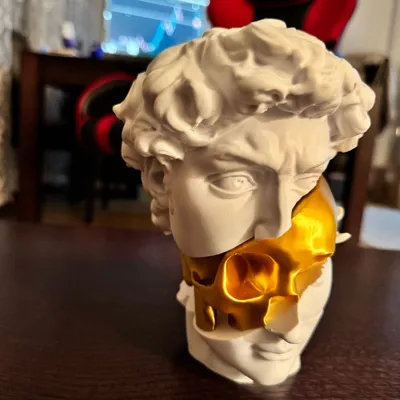 https://makerworld.bblmw.com/makerworld/model/1681964/1781937/ratings/a1d18ce1-7d3c-11f0-bccd-2fc4890b4a7d.jpg