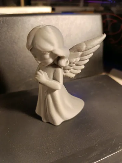 https://makerworld.bblmw.com/makerworld/model/1682094/1782114/ratings/7a274000-cccd-11f0-aefc-dba6c39de6bc.jpg