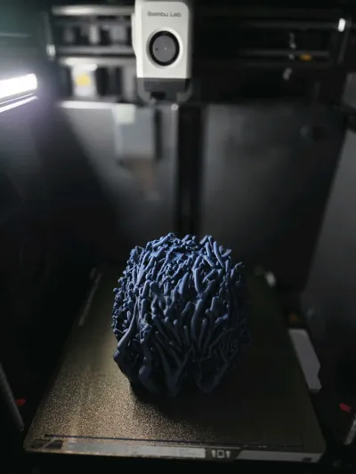 https://makerworld.bblmw.com/makerworld/model/1682173/1782201/ratings/51309dc0-f5e2-11f0-bf0b-b9802479b6f3.jpg