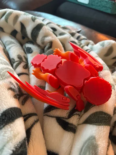 https://makerworld.bblmw.com/makerworld/model/1683003/1783146/ratings/81985c40-778f-11f0-b6b5-0f3082feb2bd.jpg