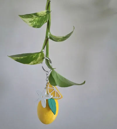 https://makerworld.bblmw.com/makerworld/model/1684392/1784708/ratings/33b3fa80-f466-11f0-af90-8fc0cd5a38f5.jpg