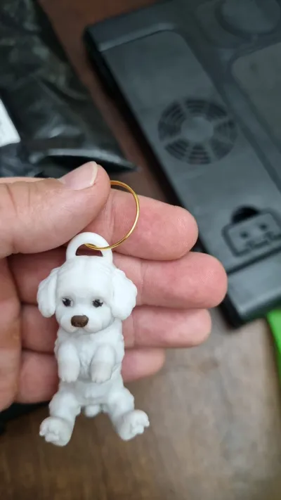 https://makerworld.bblmw.com/makerworld/model/1685380/1785864/ratings/55dfc500-ee2e-11f0-bc6b-09f77a41260c.jpg