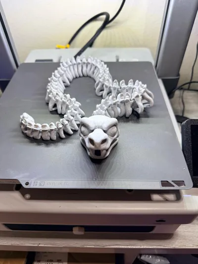 https://makerworld.bblmw.com/makerworld/model/1685673/1807524/ratings/aa1b6870-c176-11f0-86ad-f917c0847dd6.jpg