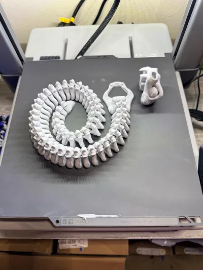 https://makerworld.bblmw.com/makerworld/model/1685673/1807524/ratings/aa1ca0f0-c176-11f0-86ad-f917c0847dd6.jpg