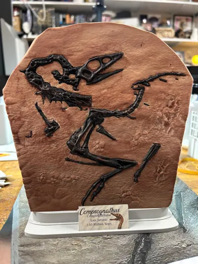 https://makerworld.bblmw.com/makerworld/model/1686087/1786659/ratings/78413bd0-918e-11f0-84b6-cb4b6ac44077.jpg