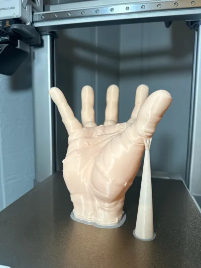 https://makerworld.bblmw.com/makerworld/model/16863/19728/ratings/85f28010-77ba-11f0-8f0e-eb87eee04a11.jpg