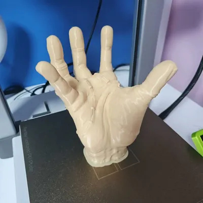https://makerworld.bblmw.com/makerworld/model/16863/19728/ratings/f45aaab0-8ae2-11f0-b6a1-d94bb464cce0.jpg