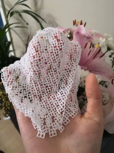 https://makerworld.bblmw.com/makerworld/model/1686419/1787049/ratings/ac9e1330-ea1c-11f0-8a11-1da972108c64.jpg