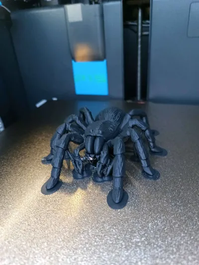 https://makerworld.bblmw.com/makerworld/model/1686684/1787364/ratings/ee715f40-b0b2-11f0-88a6-fdf6520832e3.jpg