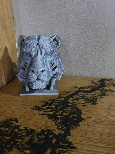 https://makerworld.bblmw.com/makerworld/model/1686890/1787623/ratings/250adf00-a02c-11f0-8012-a1e810869e6e.jpg