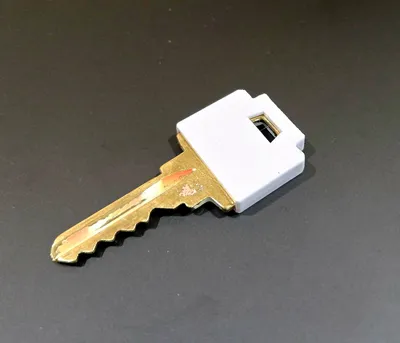 https://makerworld.bblmw.com/makerworld/model/1687700/1788618/ratings/1a55aa90-fa68-11f0-8ee3-a59c164c15e7.jpg