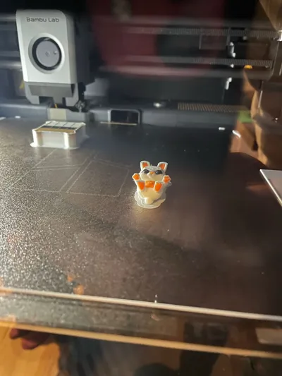 https://makerworld.bblmw.com/makerworld/model/1688434/1789532/ratings/d64ba060-c64c-11f0-84de-8bbbce39aba9.jpg