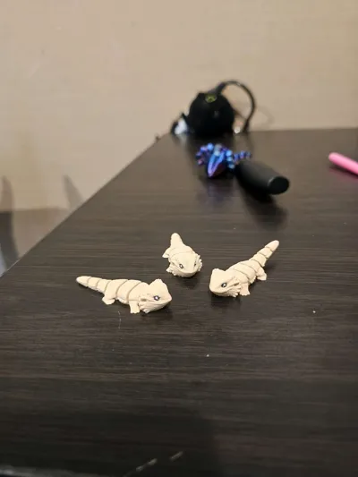https://makerworld.bblmw.com/makerworld/model/1688663/1789801/ratings/3de171f0-7bd9-11f0-8936-47f0a2925de5.jpg