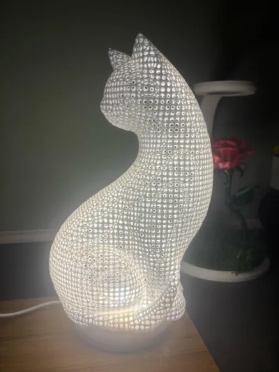 https://makerworld.bblmw.com/makerworld/model/1690184/1791604/ratings/1eb15850-d470-11f0-82a5-3be3aae87dde.jpg