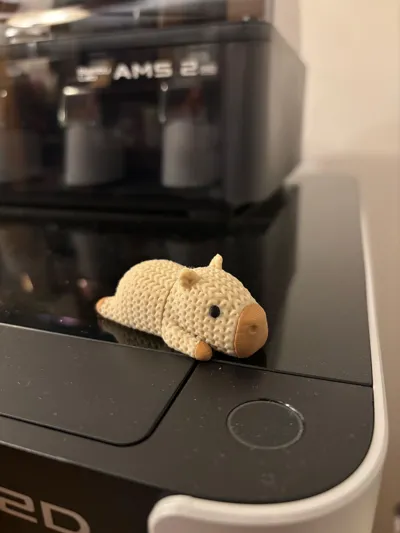 https://makerworld.bblmw.com/makerworld/model/1690296/1791759/ratings/6c071e60-eee6-11f0-881b-ddff7f66bc67.jpg