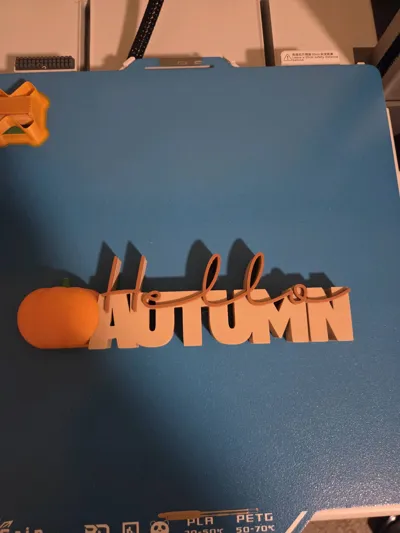 https://makerworld.bblmw.com/makerworld/model/1690361/1791832/ratings/bf5f66f0-ae07-11f0-abbc-0f3272fbae2d.jpg
