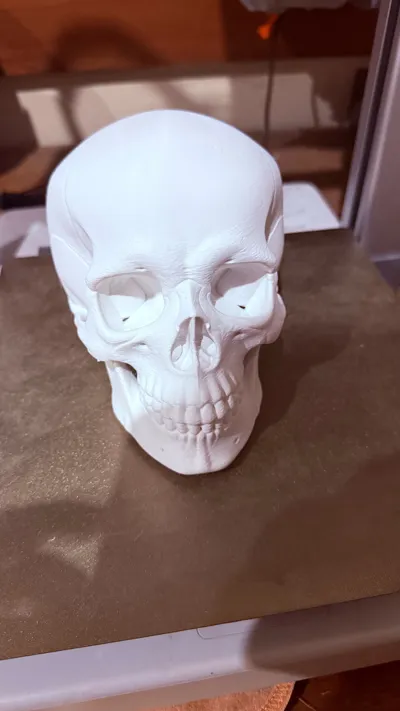 https://makerworld.bblmw.com/makerworld/model/1695121/1797267/ratings/1b646c30-a268-11f0-8301-710e817b3c51.jpg