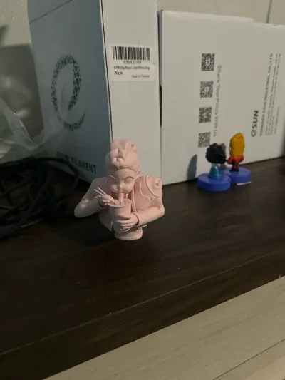 https://makerworld.bblmw.com/makerworld/model/1695938/1864776/ratings/44674730-f649-11f0-89bf-99e1f43c83e4.jpg