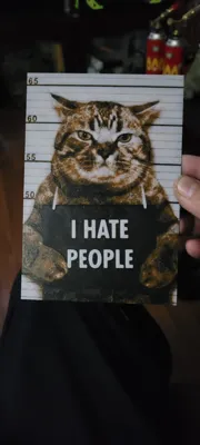 HueForge панно Cat - Арт и дизайн - PLA - изделие 3D-печати - фото 10