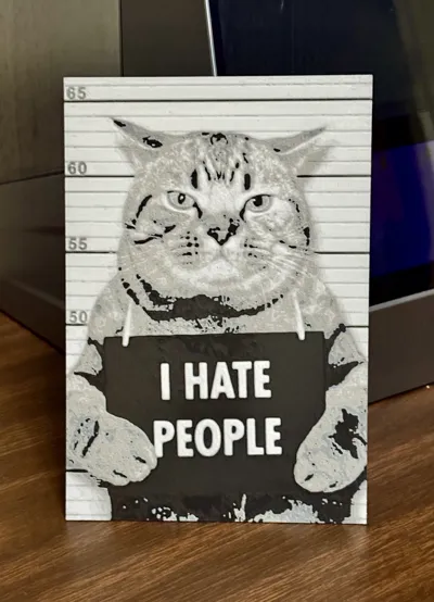 HueForge панно Cat - Арт и дизайн - PLA - изделие 3D-печати - фото 11