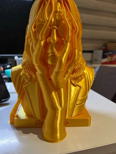 https://makerworld.bblmw.com/makerworld/model/1697986/1800426/ratings/4654cdd0-8905-11f0-8e18-8f2c191f41ac.jpg