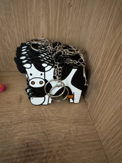 https://makerworld.bblmw.com/makerworld/model/1699055/1801620/ratings/33b99940-8b3e-11f0-b87c-d14b233db9fa.jpg