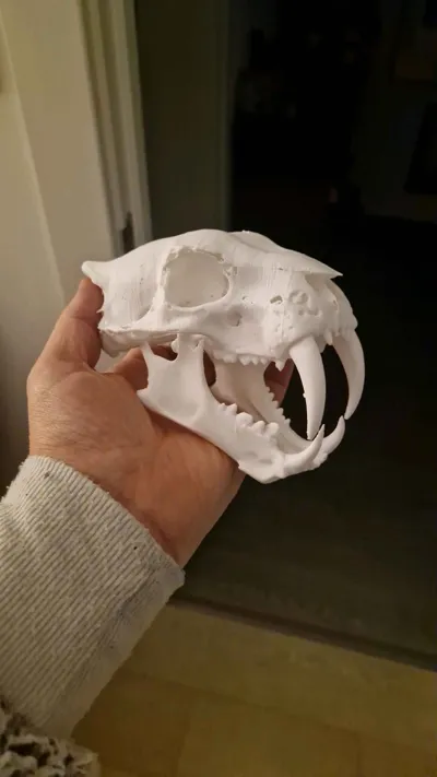 https://makerworld.bblmw.com/makerworld/model/1699068/1801645/ratings/163fb440-fb04-11f0-946f-391e579d2d0d.jpg