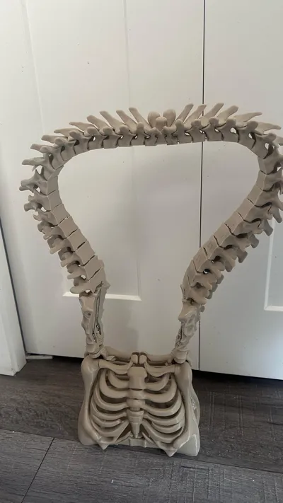 https://makerworld.bblmw.com/makerworld/model/1700300/1803105/ratings/85d955e0-90ec-11f0-a7fe-ef867bba90c5.jpg