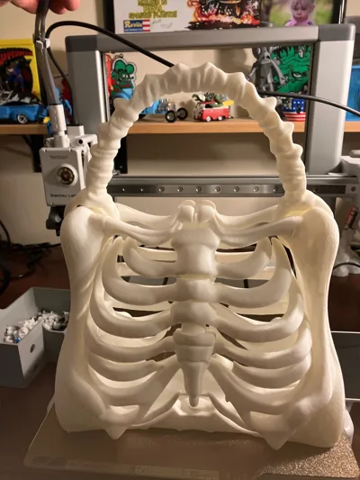 https://makerworld.bblmw.com/makerworld/model/1700300/1803105/ratings/8afb9ce0-8f70-11f0-86bd-230914d9f228.jpg