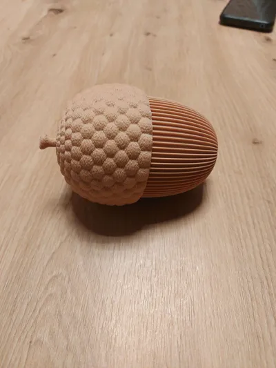 https://makerworld.bblmw.com/makerworld/model/1701607/1804557/ratings/2b792220-bfda-11f0-bf1f-bb9a97dff844.jpg