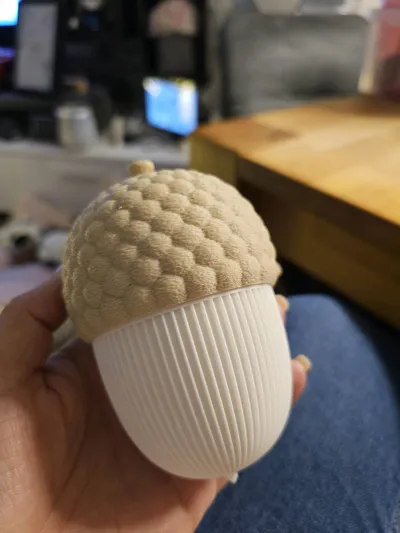 https://makerworld.bblmw.com/makerworld/model/1701607/1804557/ratings/547567f0-8525-11f0-8072-f9e40064d82b.jpg