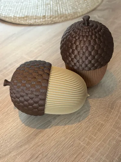 https://makerworld.bblmw.com/makerworld/model/1701607/1804557/ratings/70c67df0-8dbc-11f0-849f-791b9e187087.jpg