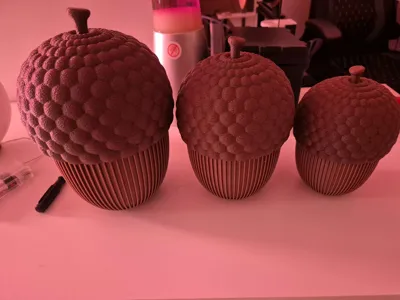 https://makerworld.bblmw.com/makerworld/model/1701607/1804557/ratings/c4e57bd0-8f1e-11f0-aa72-7f6c4c2b2ff0.jpg