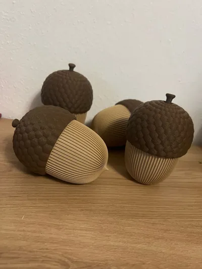 https://makerworld.bblmw.com/makerworld/model/1701607/1804557/ratings/f443d700-9077-11f0-b4b0-5540ecdc7221.jpg