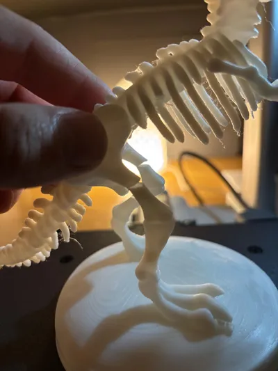 https://makerworld.bblmw.com/makerworld/model/1702931/1806248/ratings/92deec10-87c7-11f0-9abf-7f27604df799.jpg