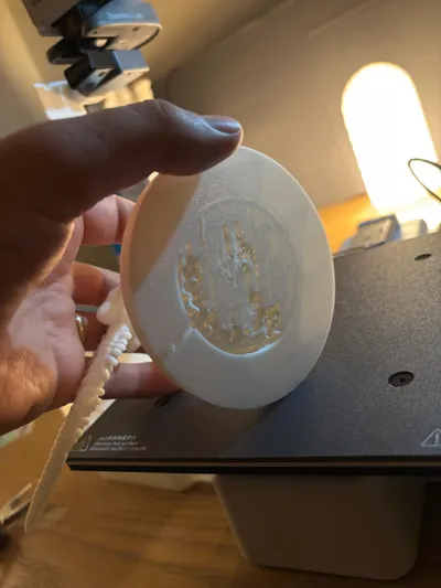 https://makerworld.bblmw.com/makerworld/model/1702931/1806248/ratings/92e099c0-87c7-11f0-9abf-7f27604df799.jpg