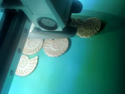 https://makerworld.bblmw.com/makerworld/model/1706191/1810010/ratings/492371a0-cb05-11f0-83e2-c989e2a2dc8c.jpg