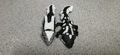 https://makerworld.bblmw.com/makerworld/model/1709828/1814083/ratings/beee6851-89fa-11f0-9455-1558f1b6e750.jpg