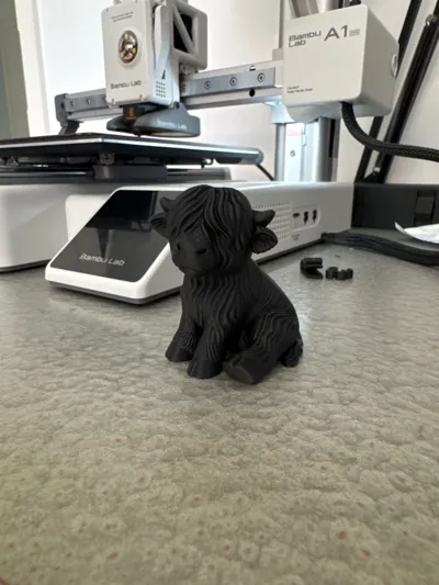 https://makerworld.bblmw.com/makerworld/model/1710369/1814725/ratings/f0702e10-7e81-11f0-bbd0-1f9c0f56aaed.jpg