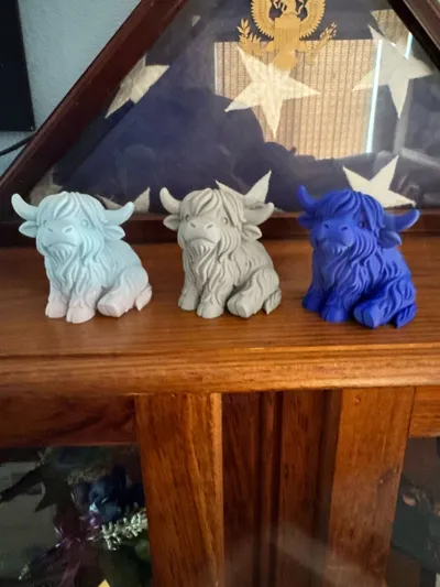 https://makerworld.bblmw.com/makerworld/model/1710379/1814734/ratings/0de135b0-85ea-11f0-a48b-e9498b9fc9b2.jpg