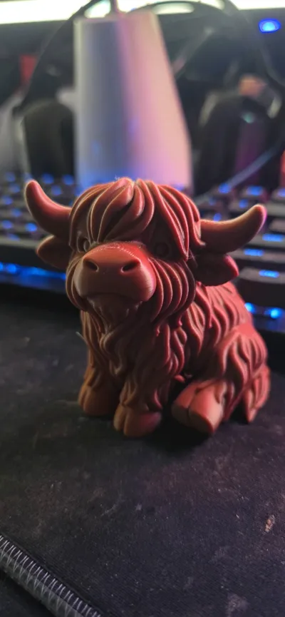 https://makerworld.bblmw.com/makerworld/model/1710379/1814734/ratings/61e07800-c15f-11f0-8a28-311882e8ec98.jpg